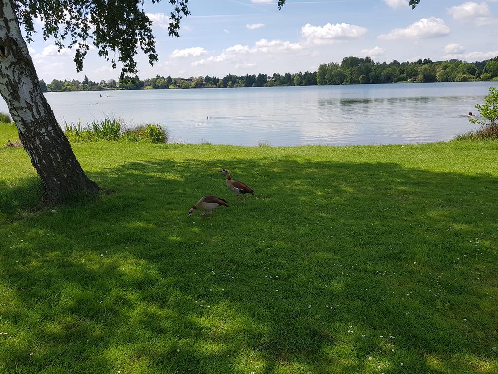 Ferienhaus Am See Hungen Екстериор снимка